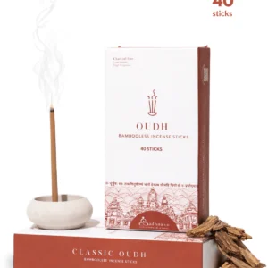 oudh avathha 8984095